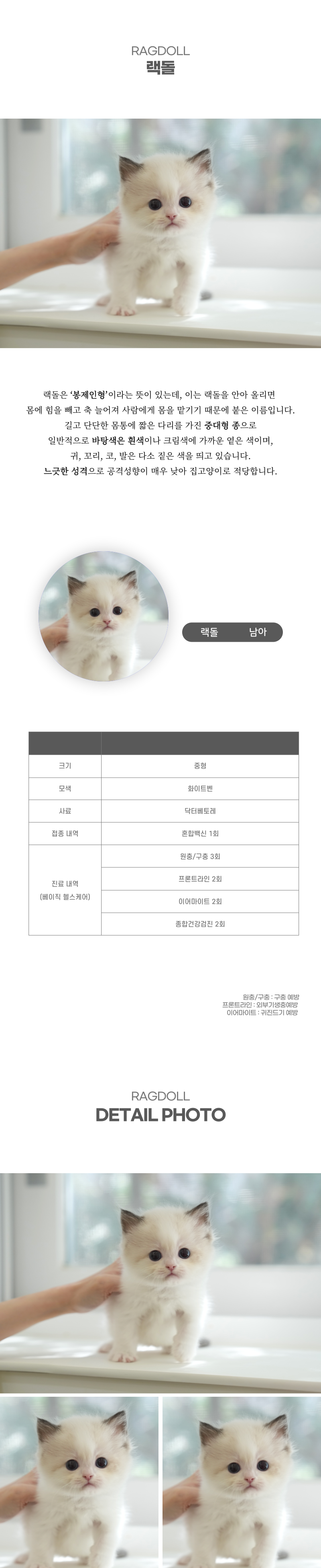 랙돌_상세이미지_2